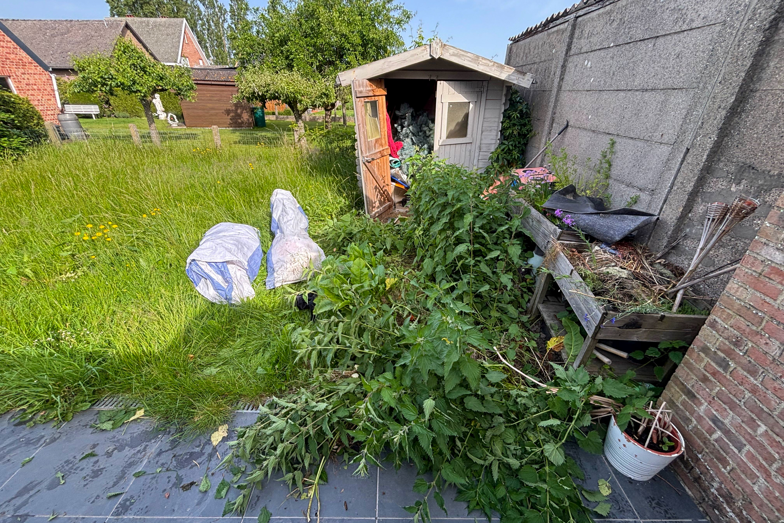 TotalCleanup-Afbeeldingen-Realisaties-SofieL-Tuinopruiming-Tuin-Oostende-Tuin-2-Voor